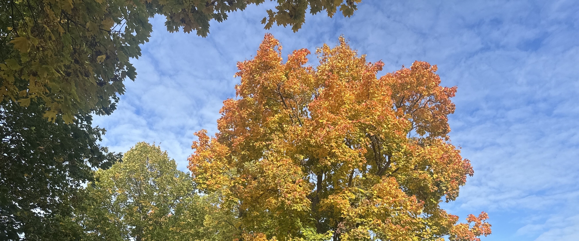 Slide: Ősz az oviban